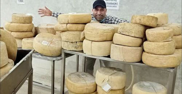 Imran Saleh in Pakistan – Camel Milk Cheese